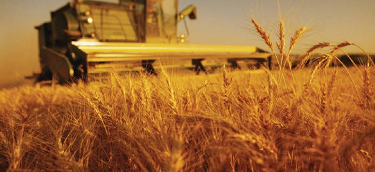 Sprijin pentru instalarea tinerilor fermieri