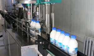 Infiintare / modernizare fabrica lactate