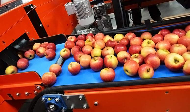 Sub-Masura 4.2a - Investitii in procesarea/marketingul produselor din sectorul pomicol