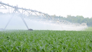 Masura 4.3 - Investitii pentru dezvoltarea, modernizarea sau adaptarea infrastructurii agricole si silvice