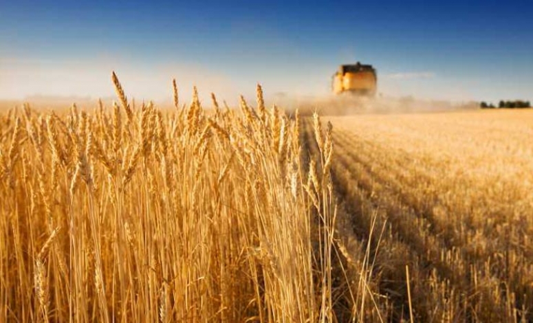 Programul National pentru Dezvoltare Rurala-PNDR